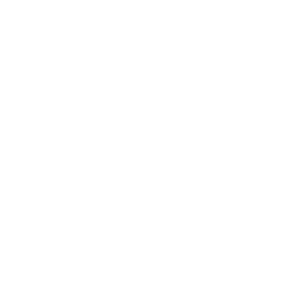 Fan Icon